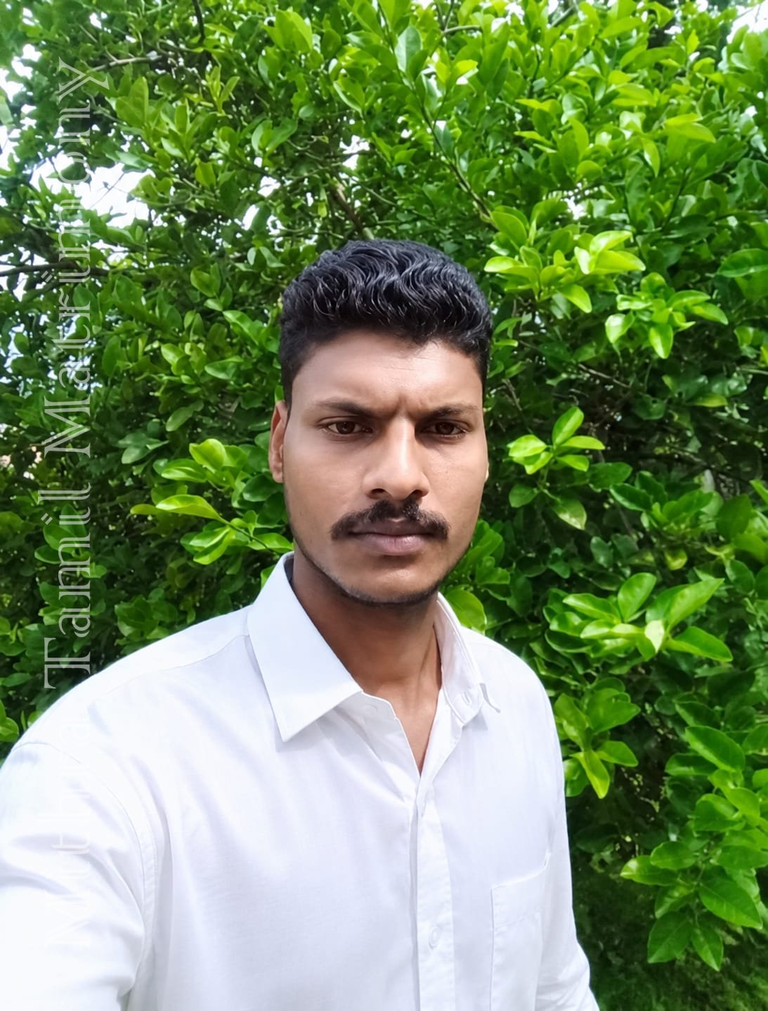 member-img